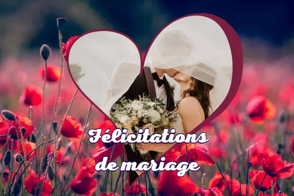 felicitations mariage pour tous